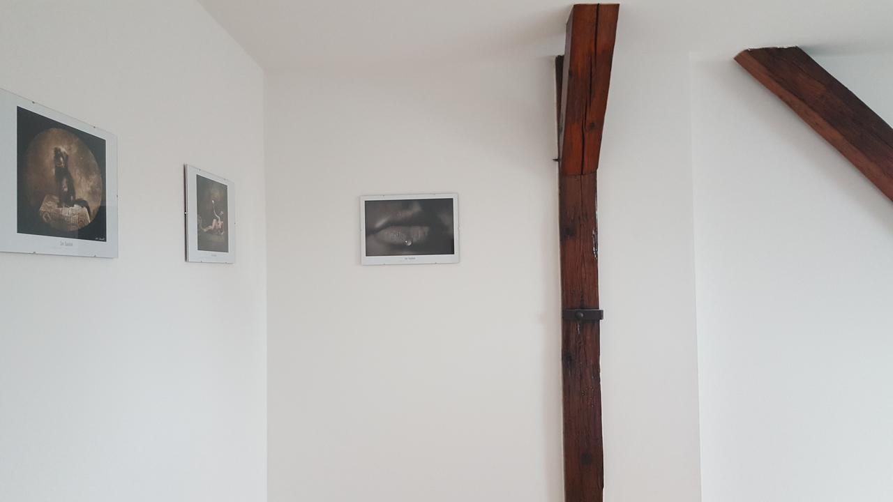 Apartmany Za Sakurou Годонин Экстерьер фото